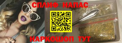 прущие грибы Пугачёв
