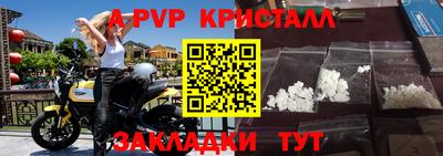 прущие грибы Пугачёв