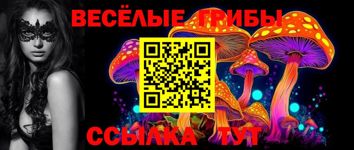 Псилоцибиновые грибы Psilocybine cubensis Саянск
